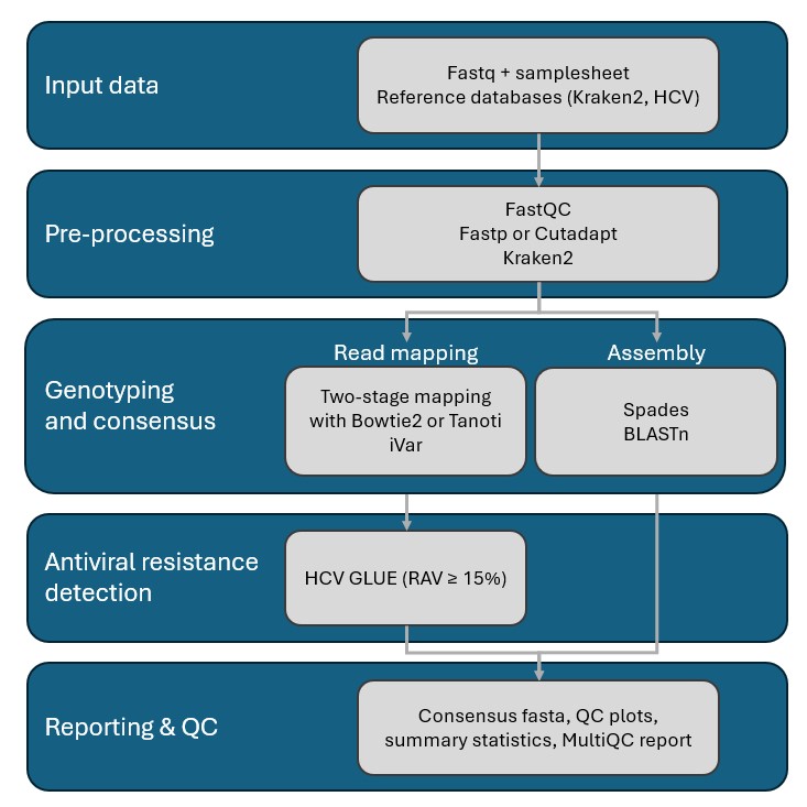 Figure 1. Schematic overview of the main steps in HCVTyper